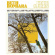 Beth Bombara - Evergreen Beth Bombara - Evergreen