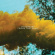 Cultdreams - Things That Hurt Cultdreams - Things That Hurt