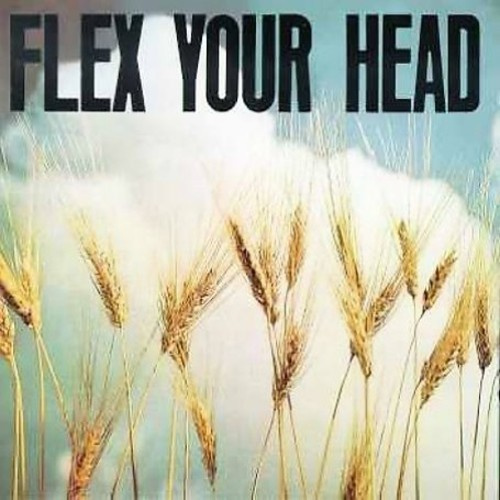 V/A Indie Rock - Flex Your Head