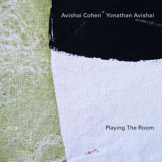 Cohen Avishai Avishai Yonathan - Playing The Room (Lp)