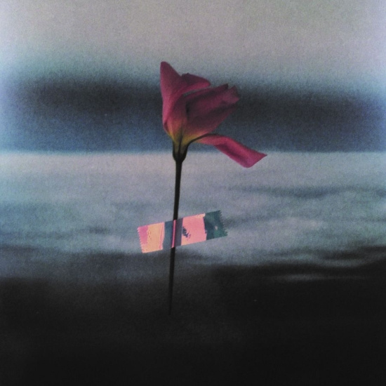 Samson Will - Paralanguage (Clear Vinyl)