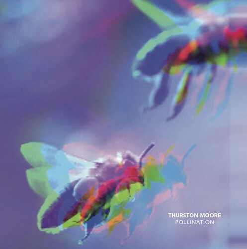 Thurston Moore - Pollination / Leave Me Alone