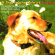 Various - A Day In The Life Of Lucky Various - A Day In The Life Of Lucky