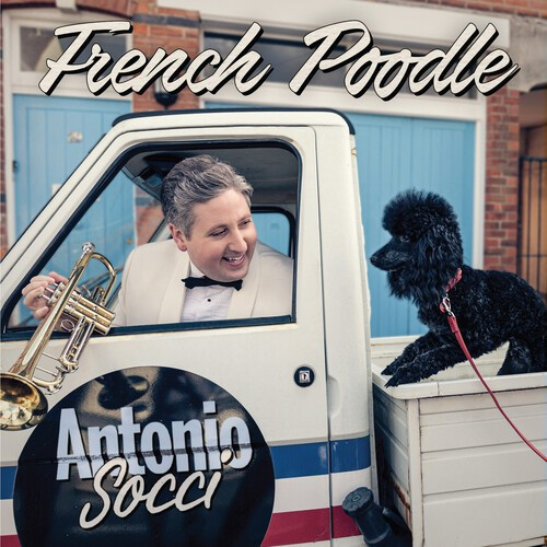 Socci Antonio - French Poodle