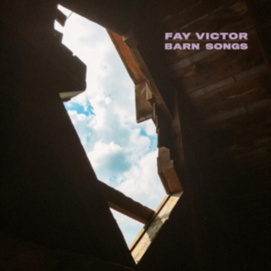 Victor Fay - Darn Songs