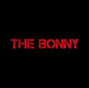 Gerry Cinnamon - Bonny - Ltd.Ed.
