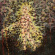 Pyrrhon - Mother Of Virtues Pyrrhon - Mother Of Virtues