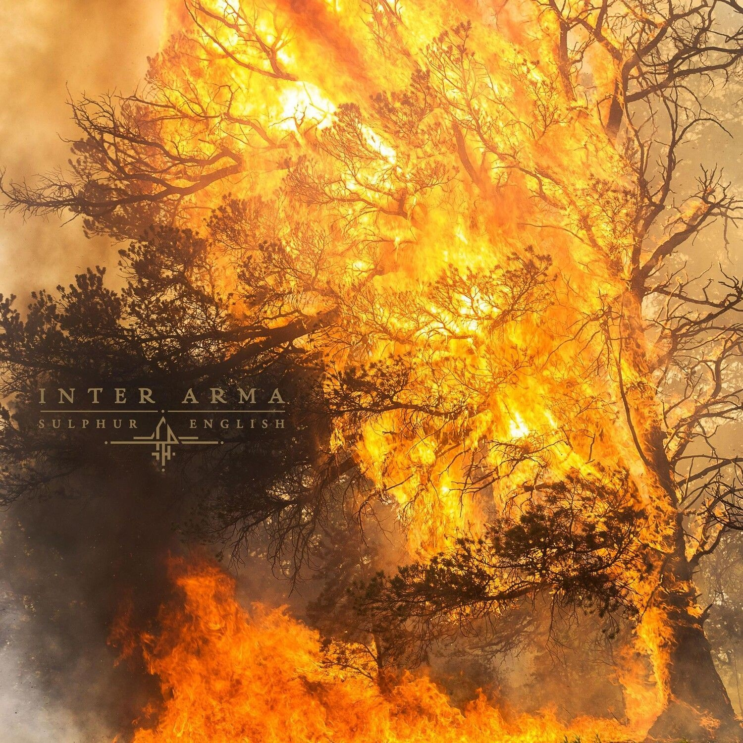 Inter Arma - Sulphur English