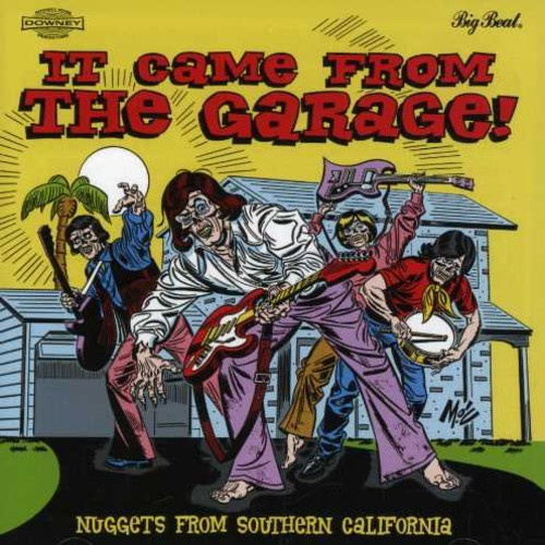 Various Artists - It Came From The Garage! Nuggets Fr