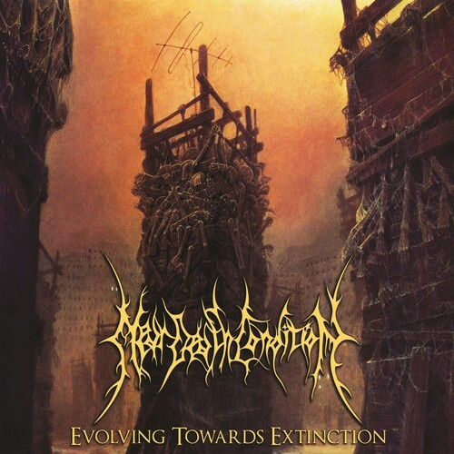 Near Death Condition - Evolving Towards Extinction