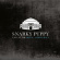 Snarky Puppy - Live At Royal Albert Hall Snarky Puppy - Live At Royal Albert Hall
