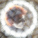 Brion Starr - Rope Memories Brion Starr - Rope Memories