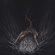 Sicarius - God Of Dead Roots Sicarius - God Of Dead Roots