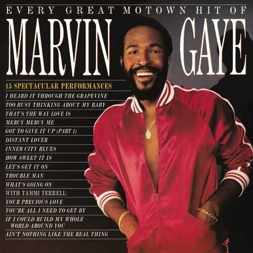 Marvin Gaye - Every Great Motown Hit (Vinyl)