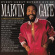 Marvin Gaye - Every Great Motown Hit (Vinyl) Marvin Gaye - Every Great Motown Hit (Vinyl)