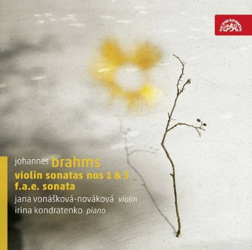 Johannes Brahms - Violin Sonatas