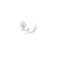Birds Of Passage - Without The World