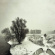 Beequeen - Winter Beequeen - Winter