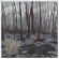 The Kilimanjaro Darkjazz Ensemble - I Forsee The Dark Ahead If I Stay The Kilimanjaro Darkjazz Ensemble - I Forsee The Dark Ahead If I Stay