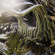 Bad Stream - Sonic Healing Bad Stream - Sonic Healing