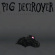 Pig Destroyer - Octagonal Stairway Pig Destroyer - Octagonal Stairway