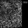 Henrik Palm - Many Days Henrik Palm - Many Days
