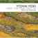 Yedid Yitzhak - Arabic Violin Bass.. Yedid Yitzhak - Arabic Violin Bass..