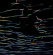 Porter Ricks - Biokinetics Porter Ricks - Biokinetics