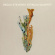 Becca Stevens - Becca Stevens / Attacca Quartet Becca Stevens - Becca Stevens / Attacca Quartet