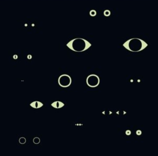 Birgitte Alsted Anders Brodsgaard - Animal Universe