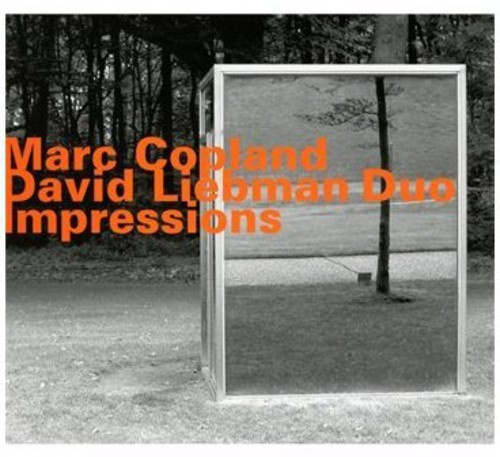 David Liebman-Marc Copland Duo - Impressions