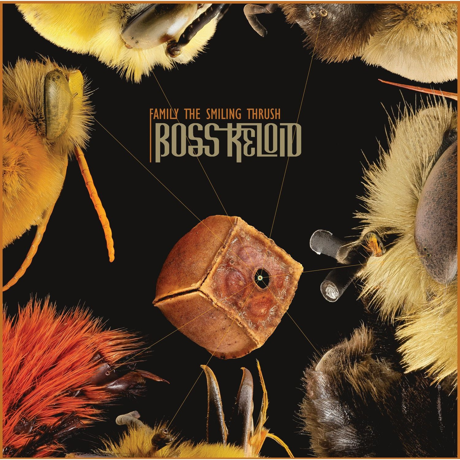 Boss Keloid - Family The Smiling Thrush
