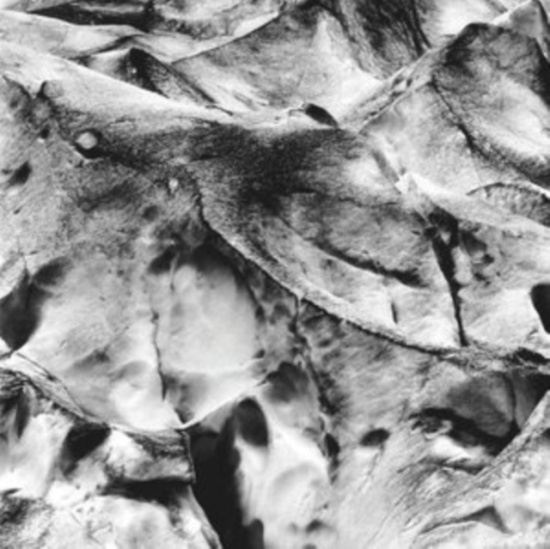 Tietchens Asmus/Miki Yui - Neues Boot