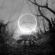 Downfall Of Gaia - Atrophy Downfall Of Gaia - Atrophy