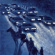 Sau Poler - Nocturno Sau Poler - Nocturno