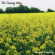 Causey Way - Causey Vs Everything Causey Way - Causey Vs Everything