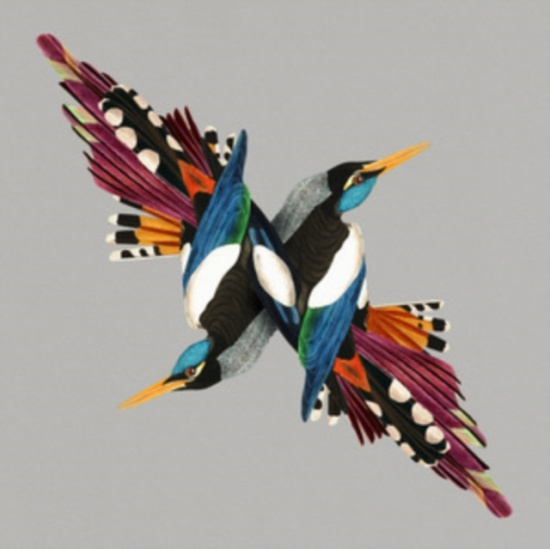 Shire T - Tomorrow's People