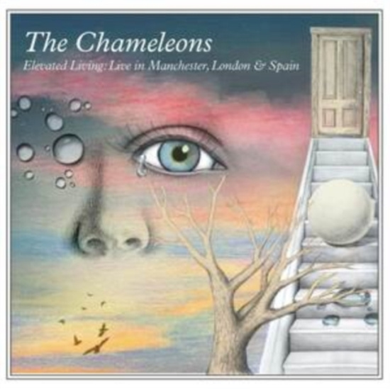 Chameleons - Elevated Living