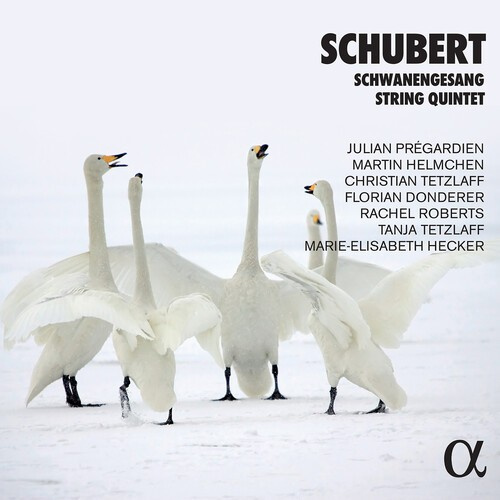 Franz Schubert - Schubert & Mendelssohn: Works