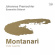 Ensemble Diderot - Montanari Violin Concertos
