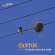 Zohn-Muldoon R. - Cantos Zohn-Muldoon R. - Cantos