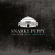 Snarky Puppy - Live At The Royal Albert Hall Snarky Puppy - Live At The Royal Albert Hall