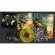 Protector - Leviathan's Desire (Marbled Vinyl L Protector - Leviathan's Desire (Marbled Vinyl L