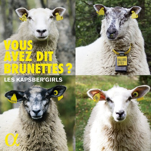 Various - Vous Avez Dit Brunettes?