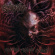 Stabbing - Ravenous Psychotic Onslaught Stabbing - Ravenous Psychotic Onslaught