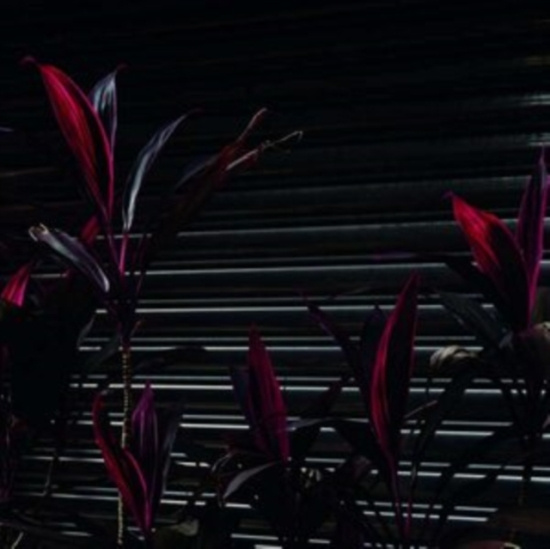 Fine Place - This New Heaven