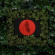 Moses Sumney - Live From Blackalachia Moses Sumney - Live From Blackalachia
