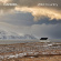 Carmel - Wild Country (Digipack) Carmel - Wild Country (Digipack)