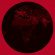 Rosing-Schow Niels - A Talk Of Our Time Rosing-Schow Niels - A Talk Of Our Time
