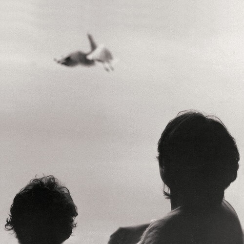 Federico Albanese - Before And Now Seems Infinite (Viny